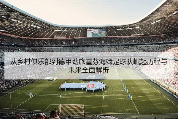 从乡村俱乐部到德甲劲旅霍芬海姆足球队崛起历程与未来全面解析