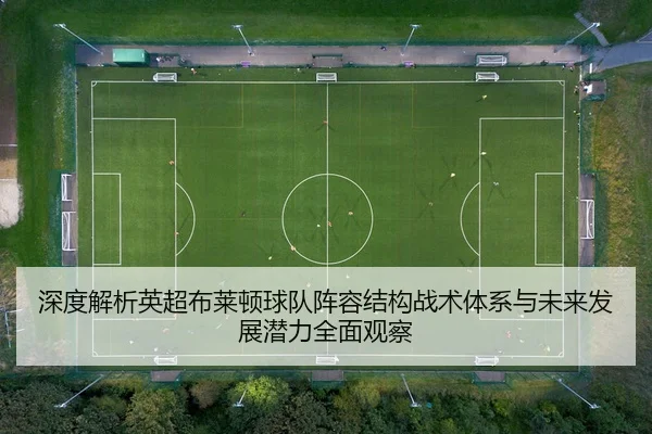 深度解析英超布莱顿球队阵容结构战术体系与未来发展潜力全面观察